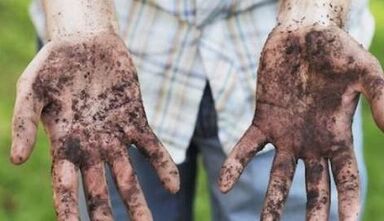 The cause of worms in humans