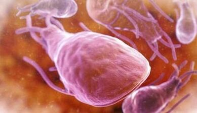 What is the parasite in one's heart